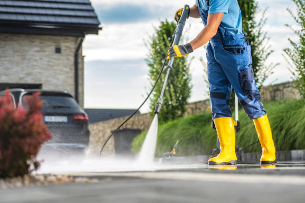 Best Solar Panel Cleaning  in Elm Springs, AR